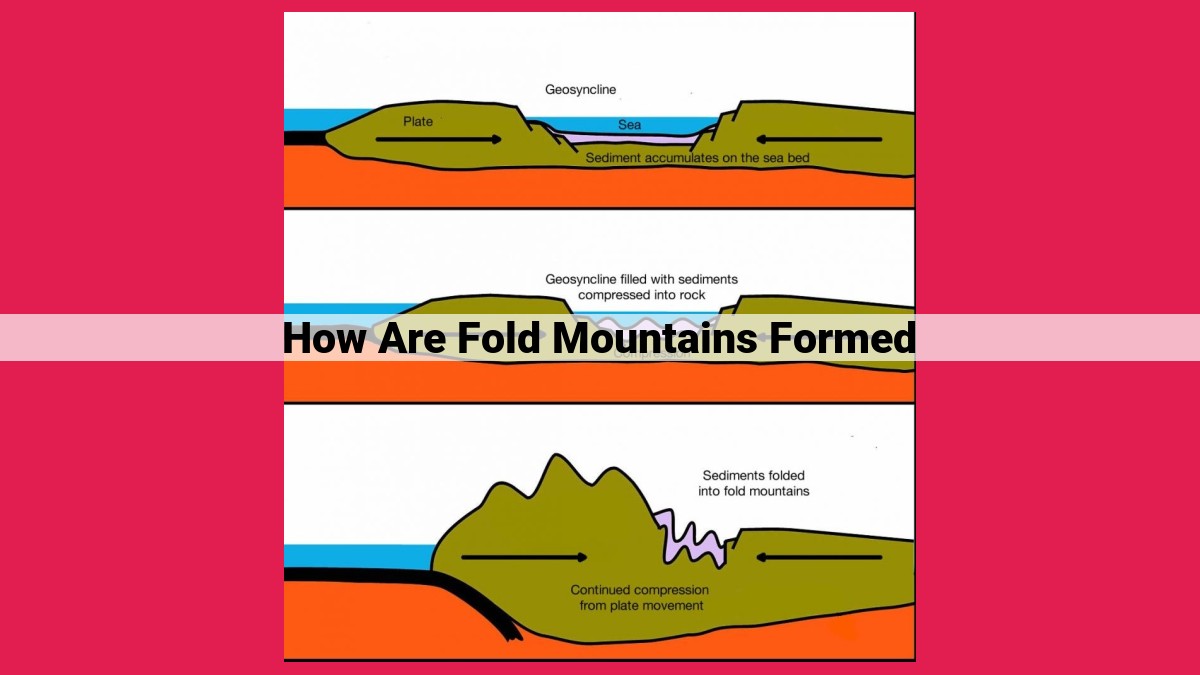 how are fold mountains formed