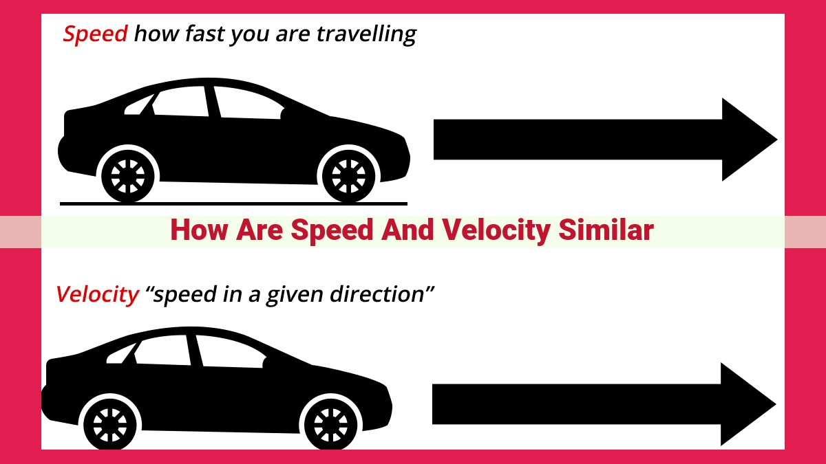 how are speed and velocity similar