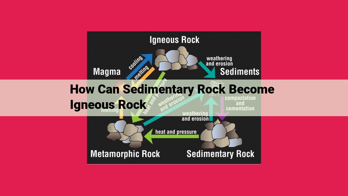 how can sedimentary rock become igneous rock