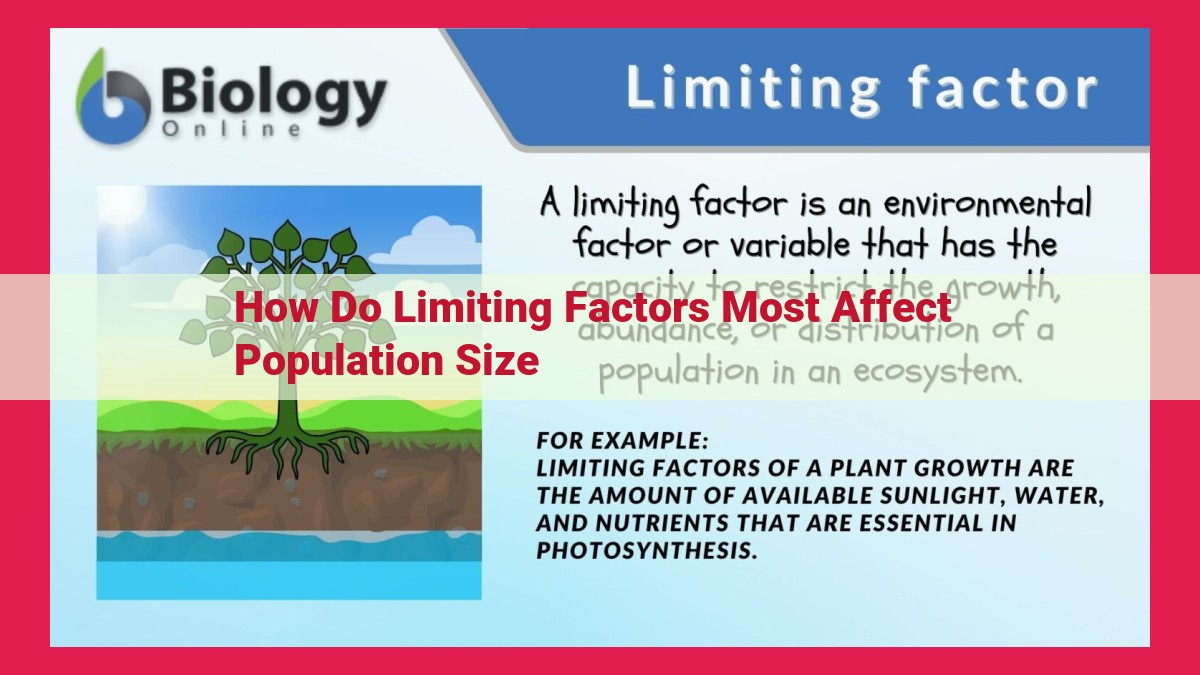 how do limiting factors most affect population size