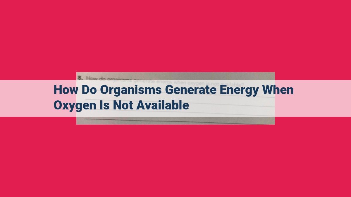 how do organisms generate energy when oxygen is not available