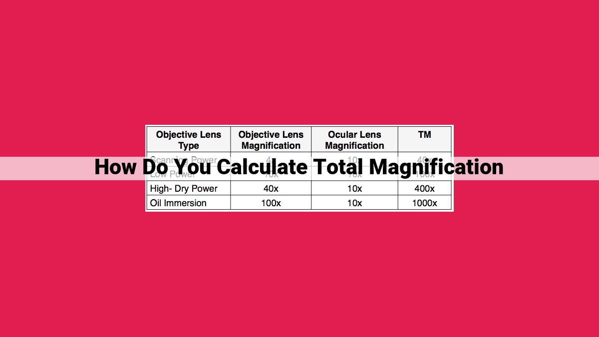 how do you calculate total magnification