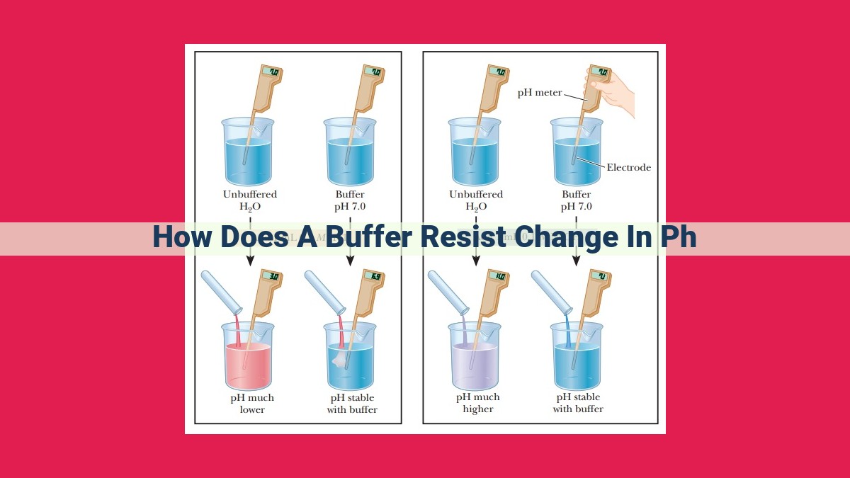 how does a buffer resist change in ph