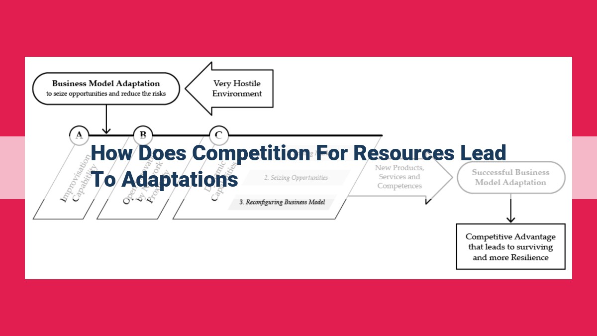 how does competition for resources lead to adaptations