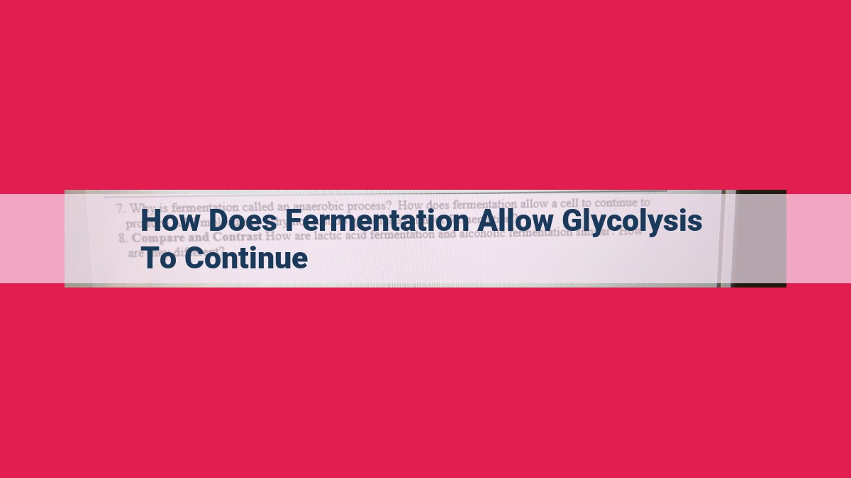 how does fermentation allow glycolysis to continue