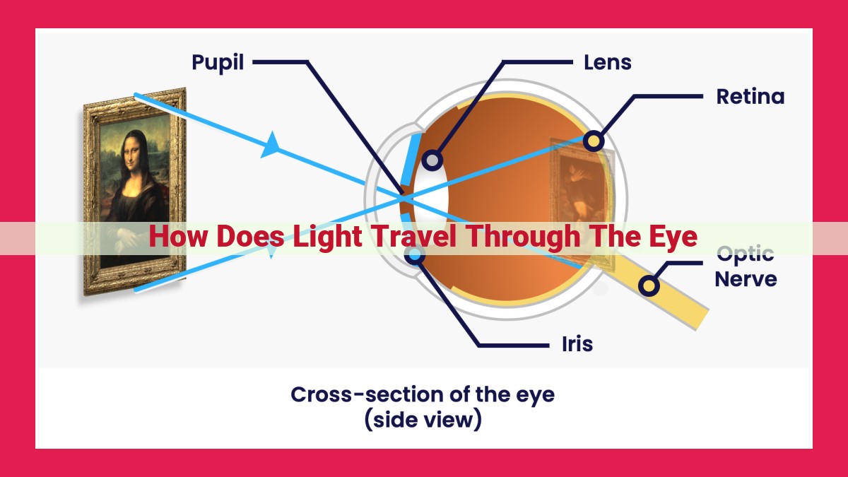 how does light travel through the eye