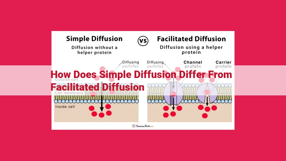 how does simple diffusion differ from facilitated diffusion