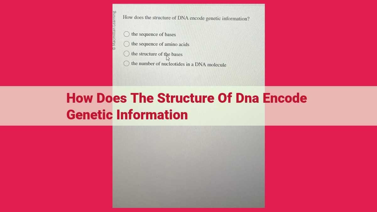 how does the structure of dna encode genetic information