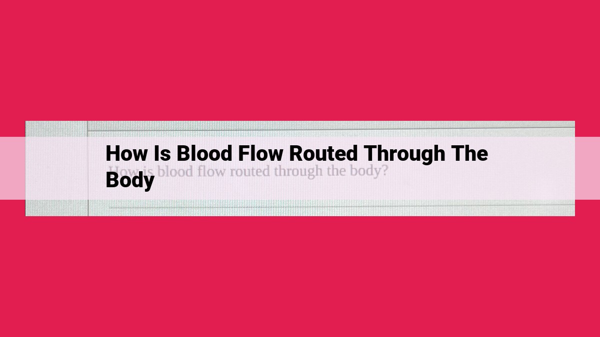 how is blood flow routed through the body