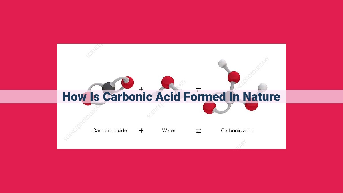 how is carbonic acid formed in nature