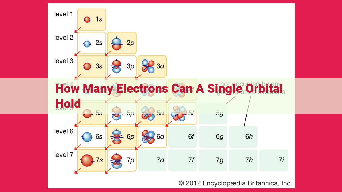 how many electrons can a single orbital hold