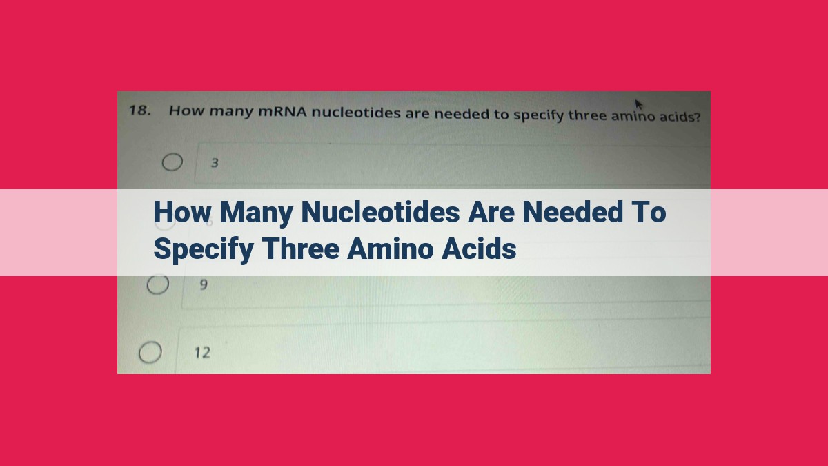 how many nucleotides are needed to specify three amino acids