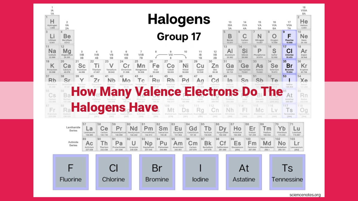 how many valence electrons do the halogens have