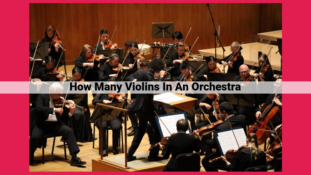 how many violins in an orchestra