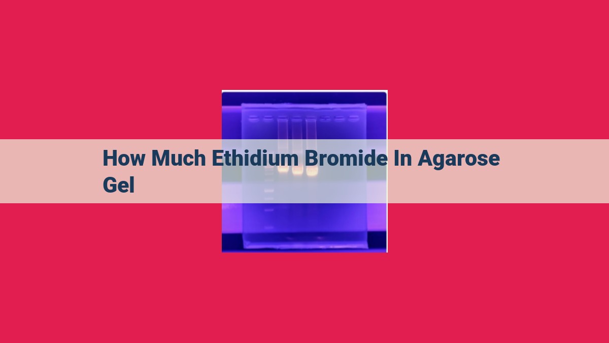 how much ethidium bromide in agarose gel