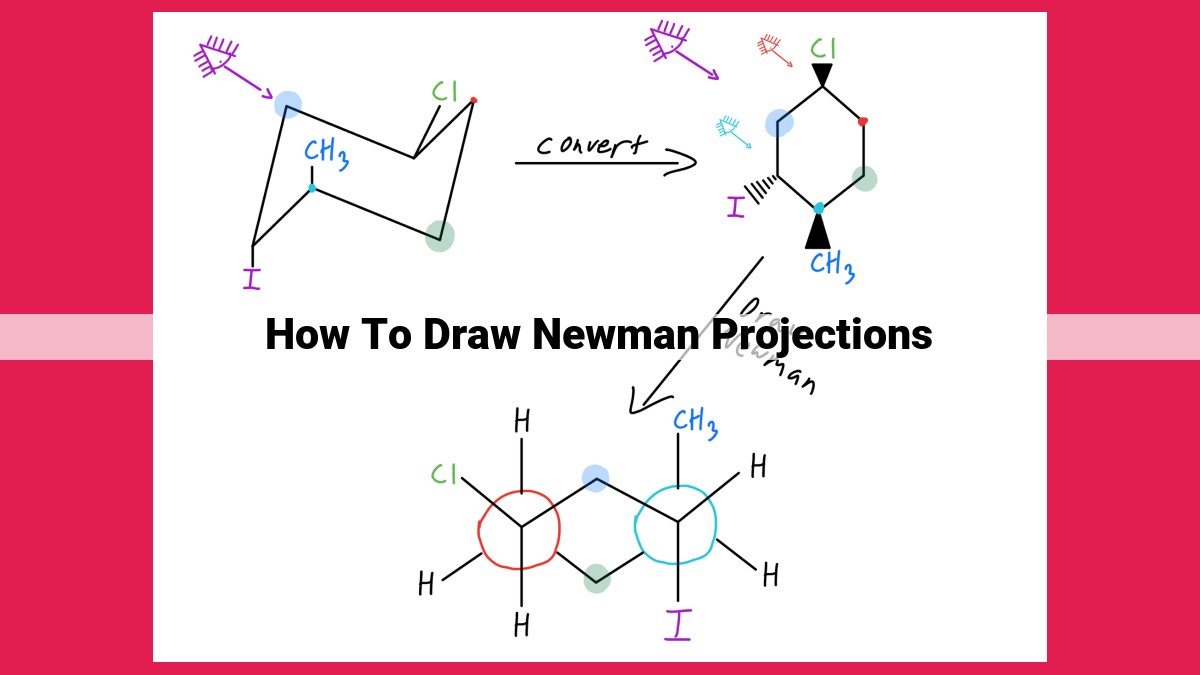 how to draw newman projections