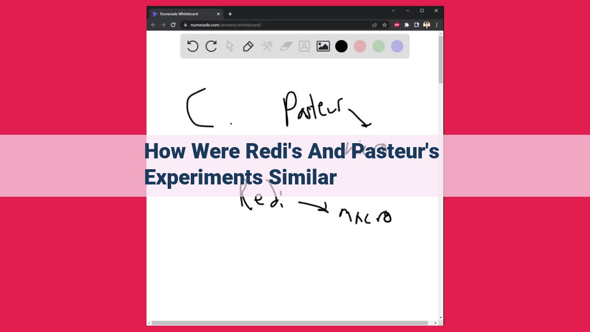 how were redi's and pasteur's experiments similar