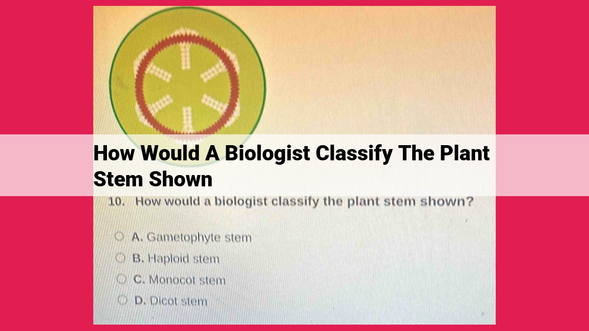 how would a biologist classify the plant stem shown