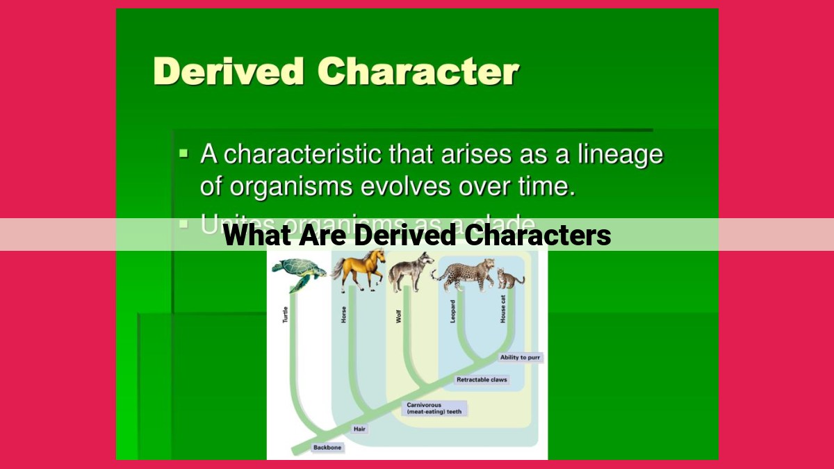 what are derived characters