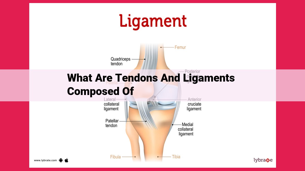 what are tendons and ligaments composed of