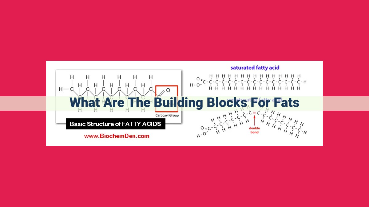 what are the building blocks for fats