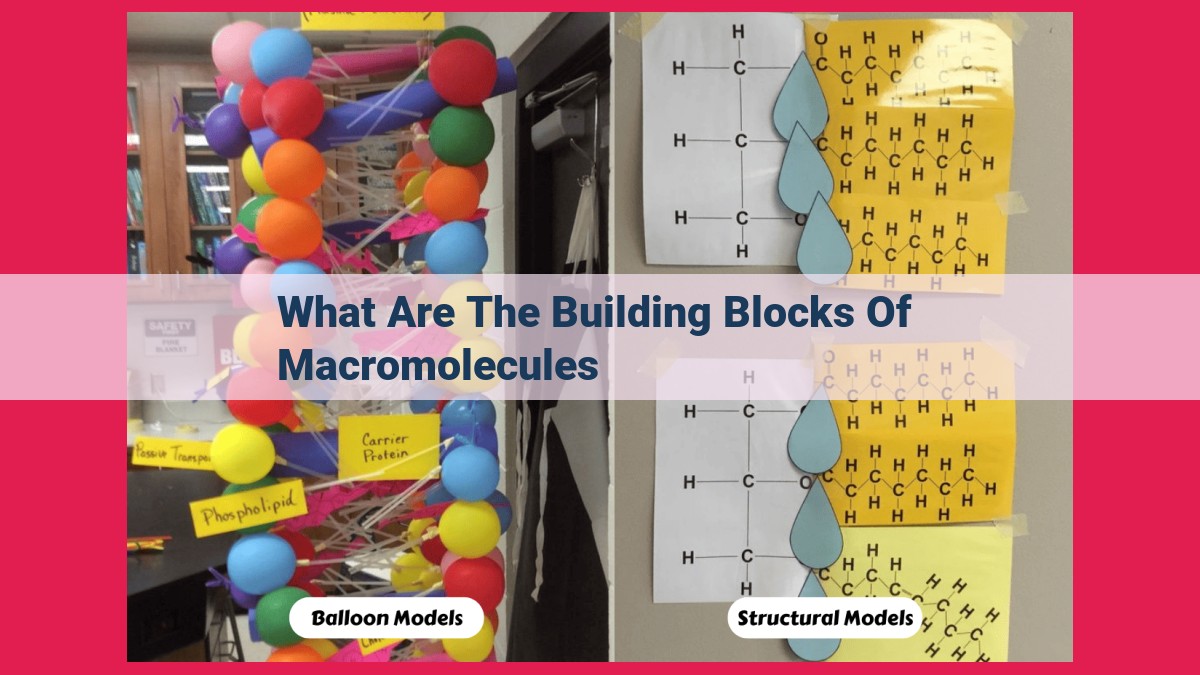 what are the building blocks of macromolecules