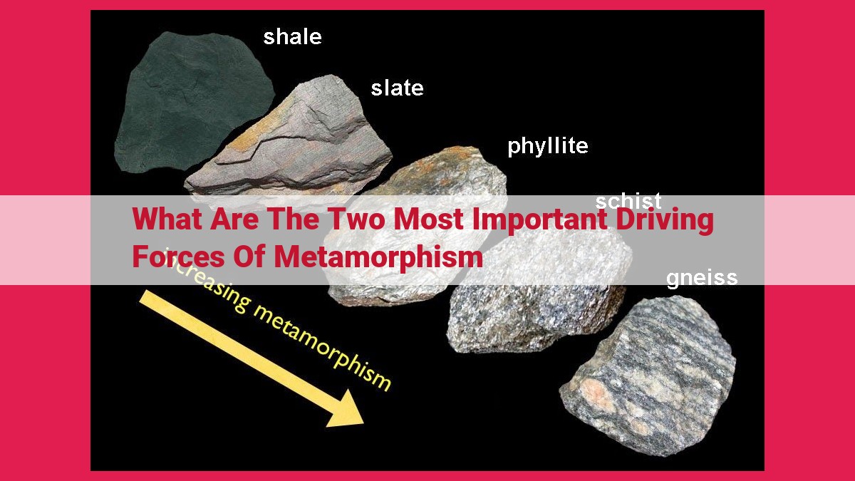 what are the two most important driving forces of metamorphism