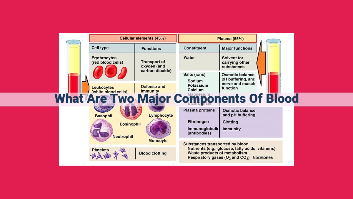 what are two major components of blood