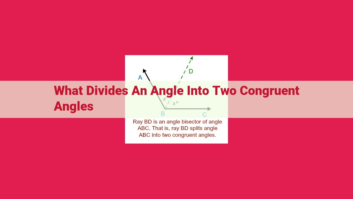 what divides an angle into two congruent angles