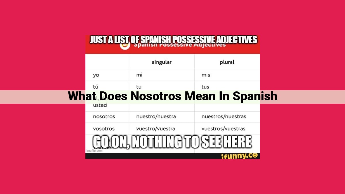 what does nosotros mean in spanish