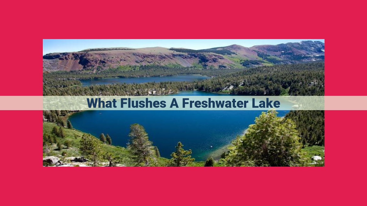 what flushes a freshwater lake