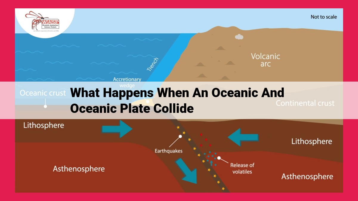 what happens when an oceanic and oceanic plate collide