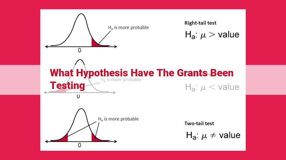 what hypothesis have the grants been testing