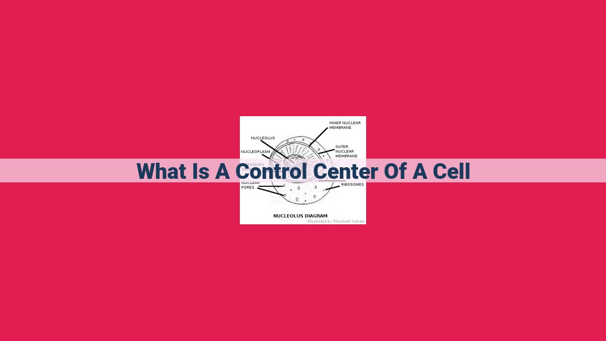 what is a control center of a cell