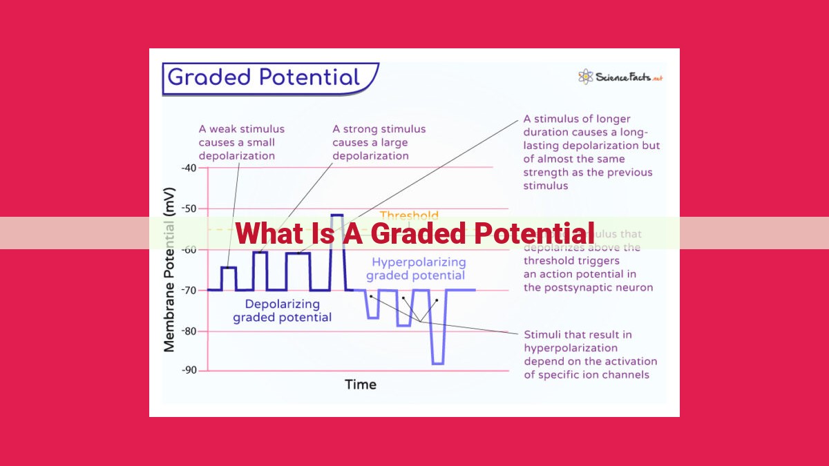 what is a graded potential