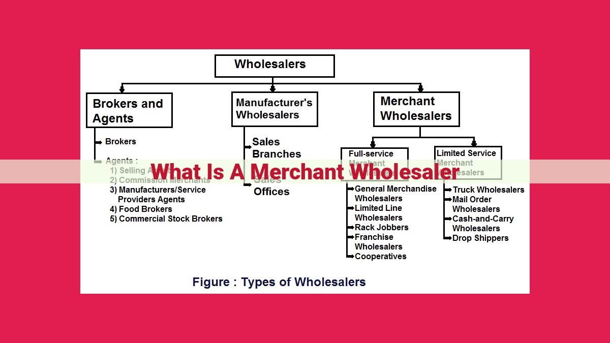 what is a merchant wholesaler