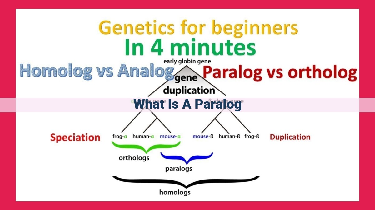 what is a paralog