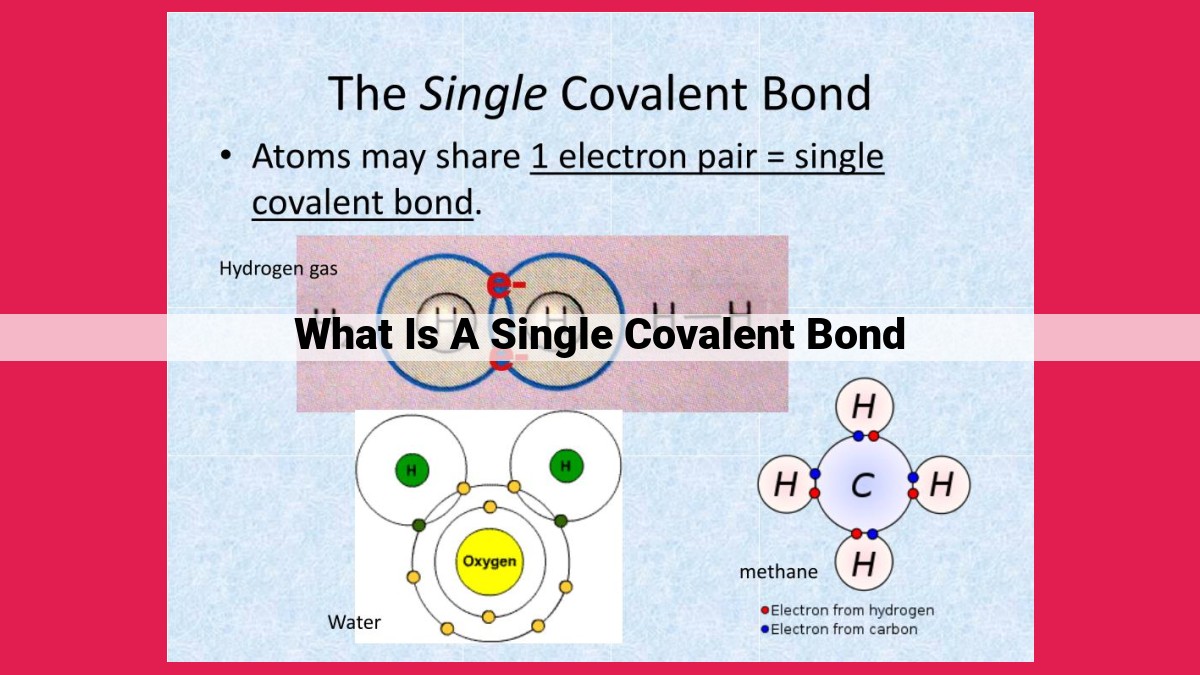 what is a single covalent bond