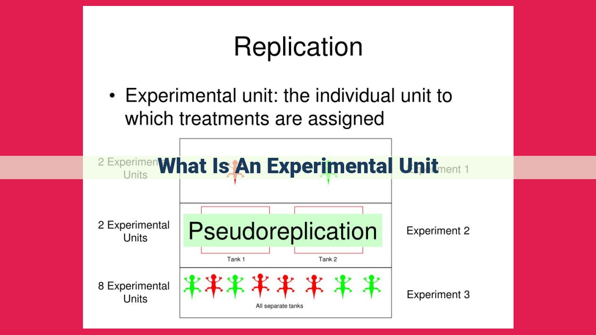 what is an experimental unit