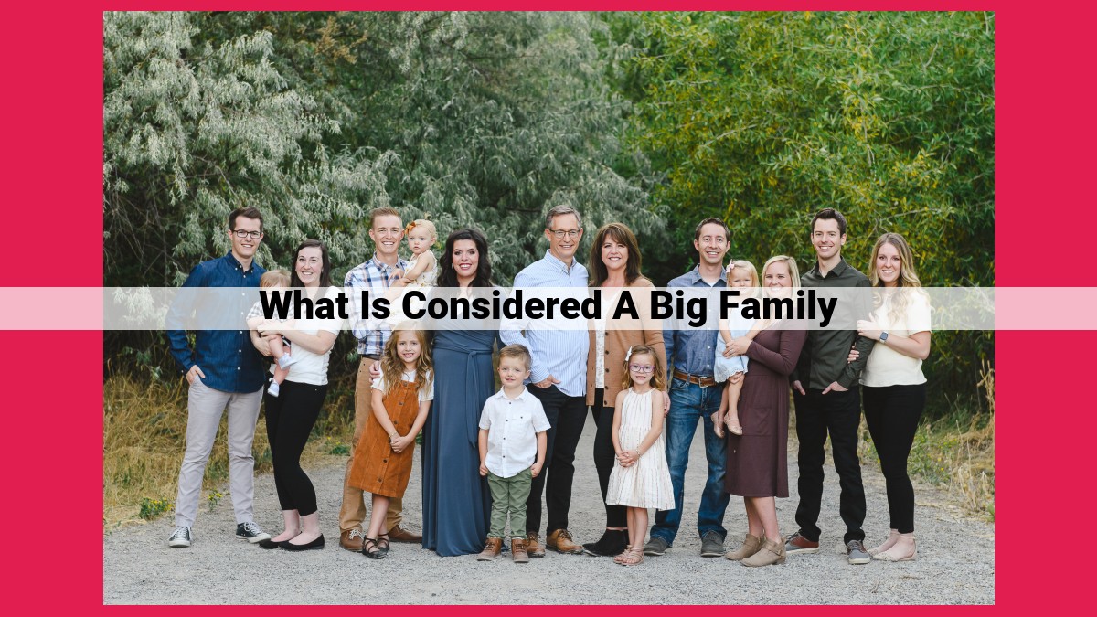 what is considered a big family