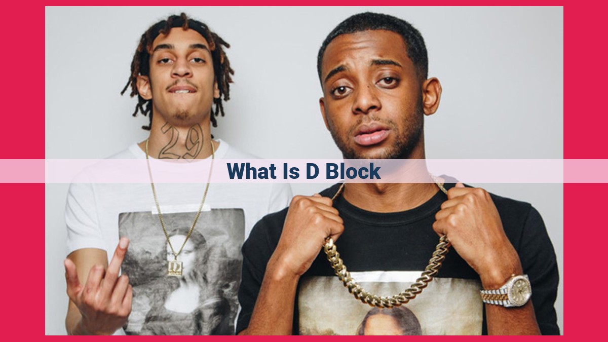 what is d block