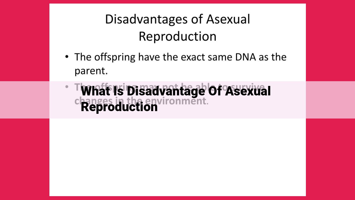 what is disadvantage of asexual reproduction