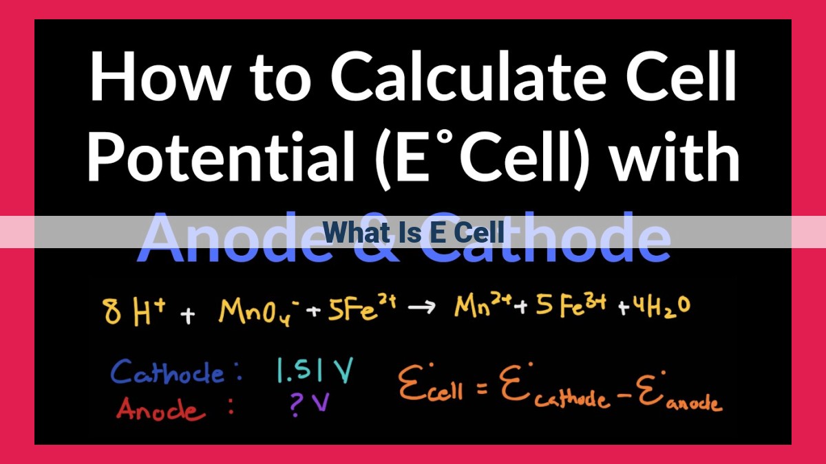 what is e cell