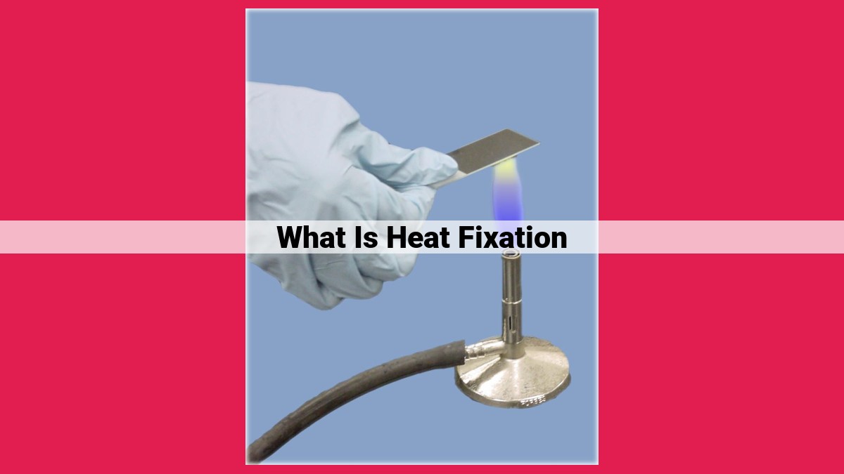 what is heat fixation