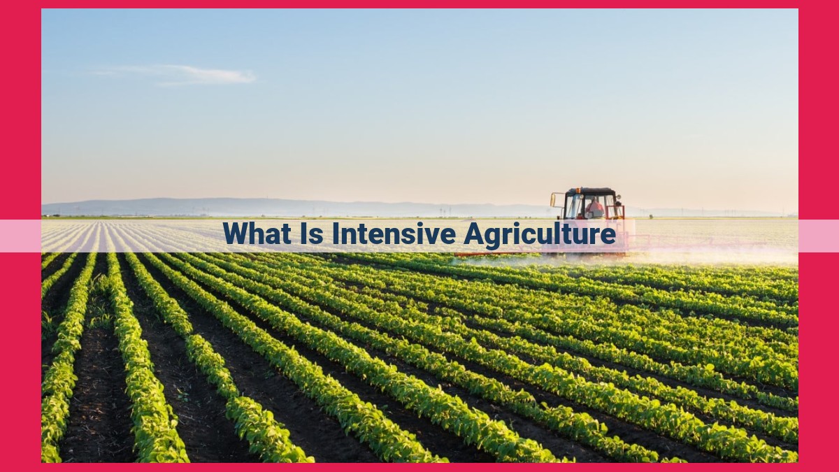 what is intensive agriculture