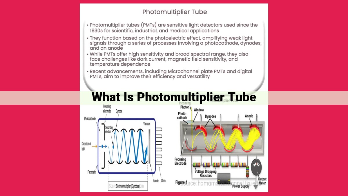 what is photomultiplier tube