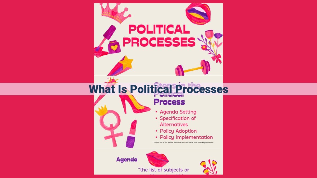 what is political processes