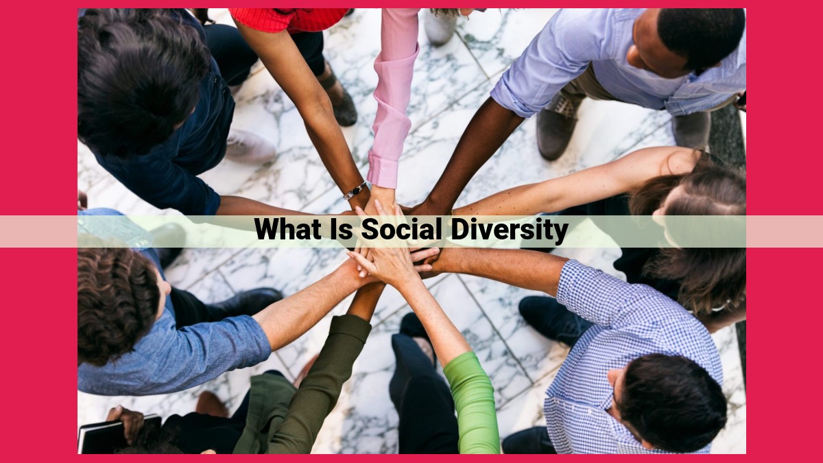 what is social diversity