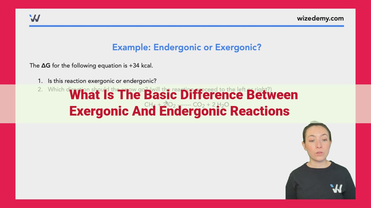 what is the basic difference between exergonic and endergonic reactions