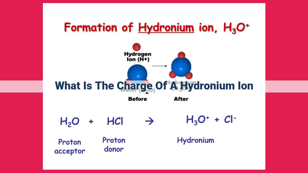 what is the charge of a hydronium ion